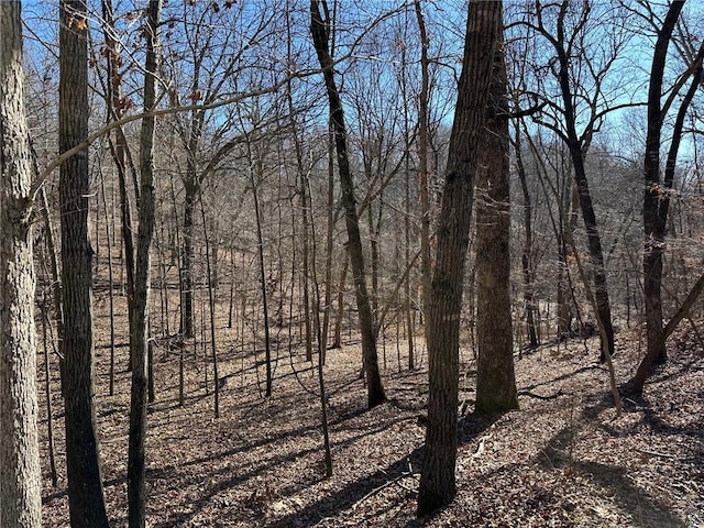 16001 Railroad Cut Rd, Rogers, AR 72756