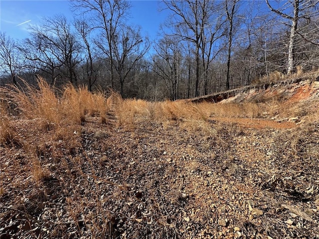 16001 Railroad Cut Rd, Rogers, AR 72756