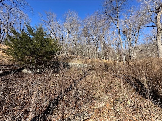 16001 Railroad Cut Rd, Rogers, AR 72756