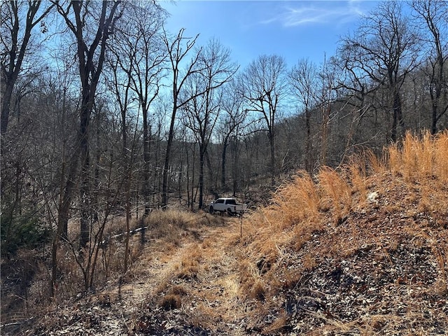 16001 Railroad Cut Rd, Rogers, AR 72756