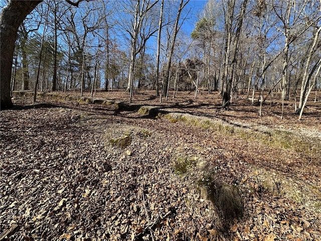 16001 Railroad Cut Rd, Rogers, AR 72756