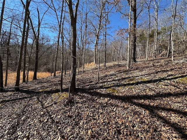 16001 Railroad Cut Rd, Rogers, AR 72756