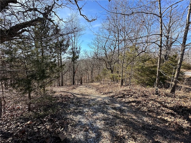16001 Railroad Cut Rd, Rogers, AR 72756