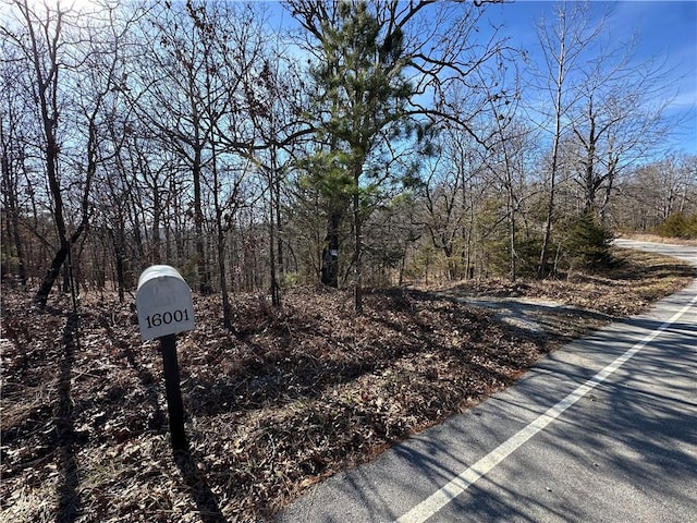 16001 Railroad Cut Rd, Rogers, AR 72756