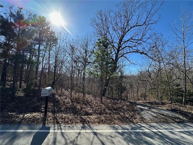 16001 Railroad Cut Rd, Rogers, AR 72756