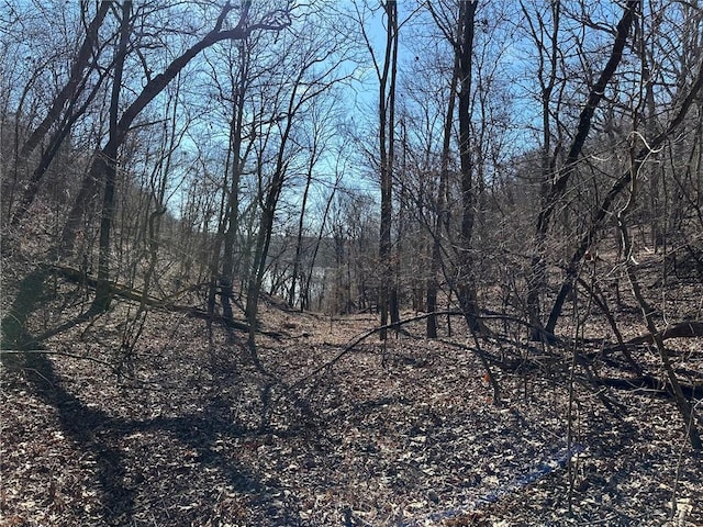 16001 Railroad Cut Rd, Rogers, AR 72756