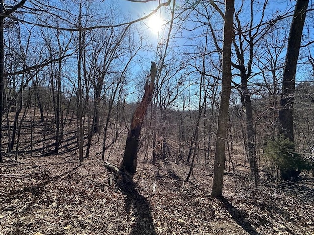 16001 Railroad Cut Rd, Rogers, AR 72756