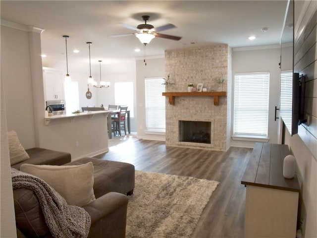 living room featuring crown molding, dark hardwood / wood-style floors, a fireplace, and ceiling fan