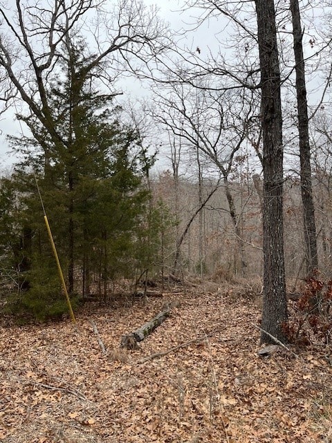 Listing photo 2 for LOT6 Mayfair Ln, Bella Vista AR 72715