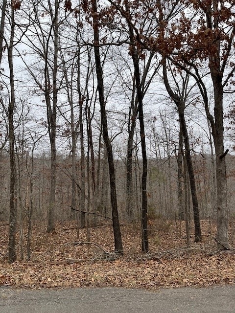 Listing photo 2 for LOT7 Mayfair Ln, Bella Vista AR 72715