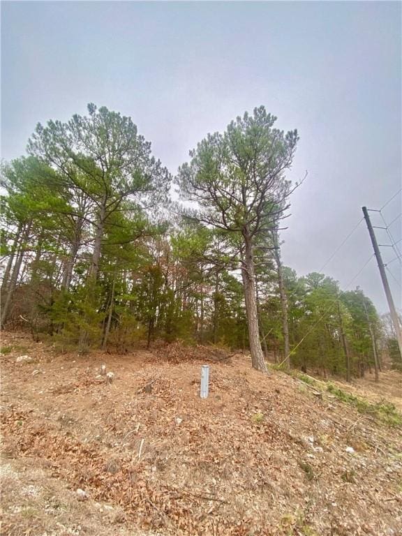 Listing photo 2 for TBD Rancho Vista Ln, Eureka Springs AR 72631