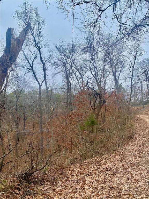 TBD Rancho Vista Ln, Eureka Springs, AR 72631 - photo 1