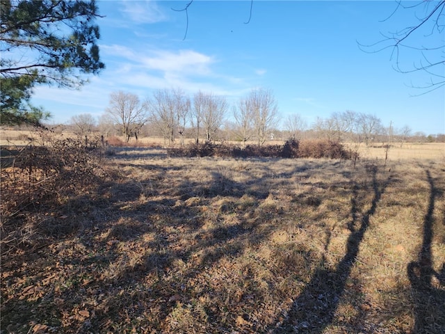 view of yard with a rural view