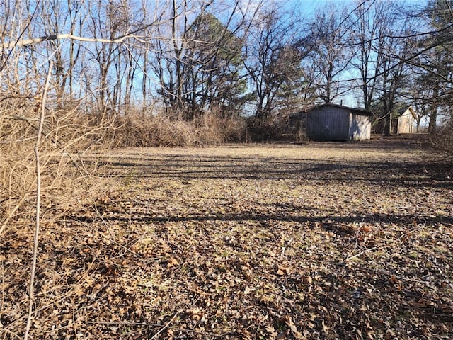 view of yard featuring a shed