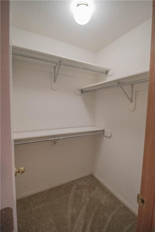 spacious closet featuring dark colored carpet