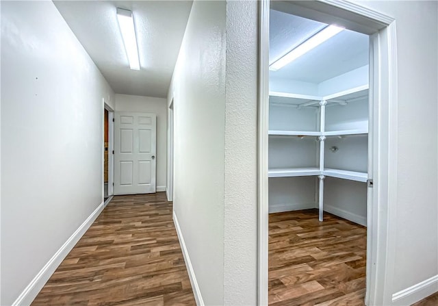 corridor featuring dark hardwood / wood-style flooring