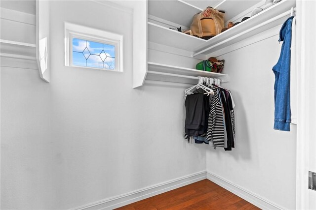 spacious closet with hardwood / wood-style floors