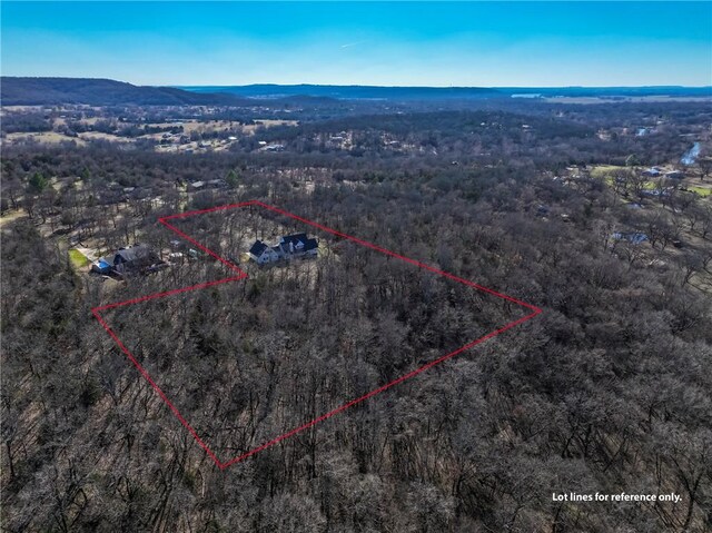 birds eye view of property with a mountain view