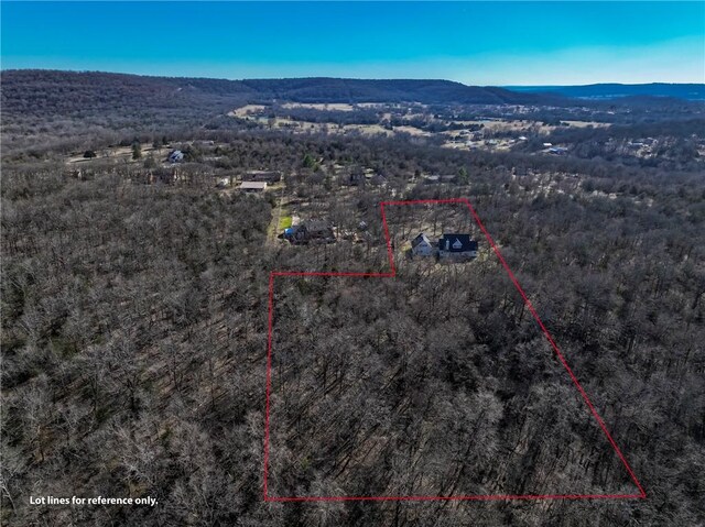 birds eye view of property featuring a mountain view