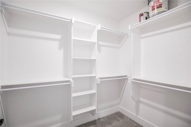 spacious closet with carpet