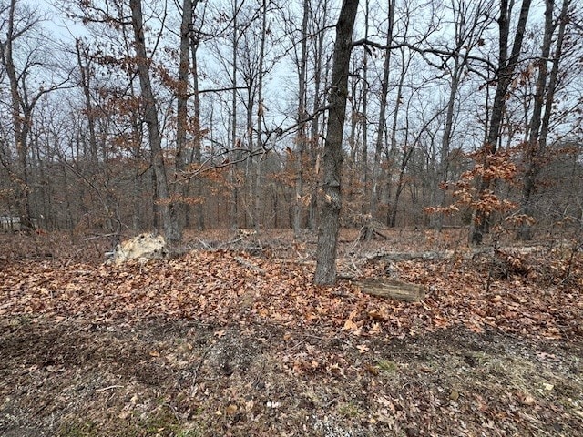 Listing photo 3 for LOT12 Harborough Ln, Bella Vista AR 72714