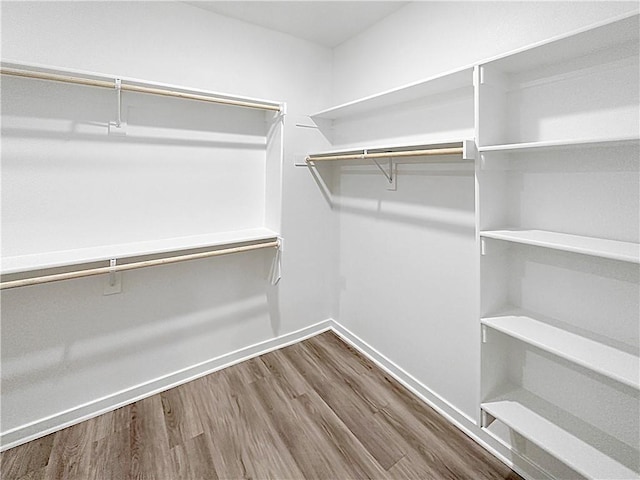 walk in closet with wood-type flooring