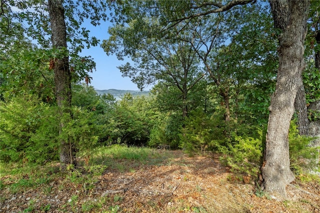 Listing photo 3 for LOT10 Hillcrest Rd, Eureka Springs AR 72631