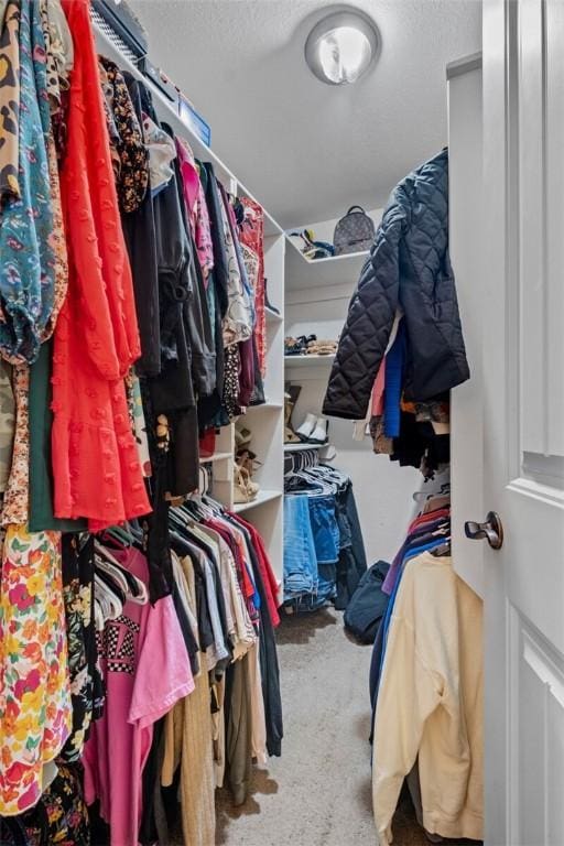 spacious closet featuring carpet flooring