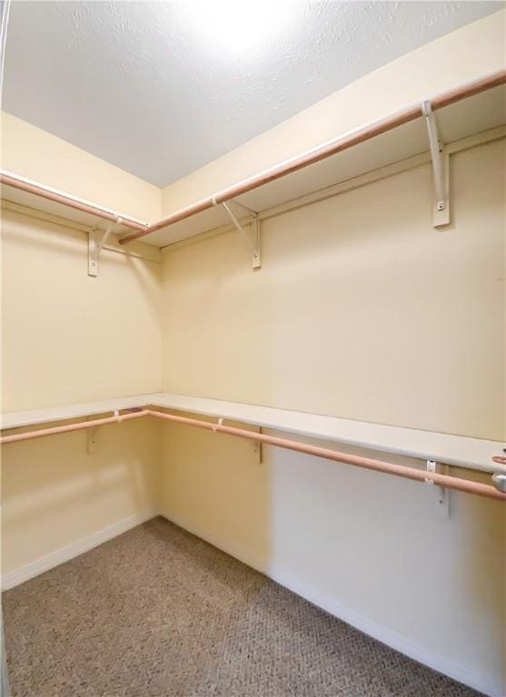 spacious closet with light colored carpet