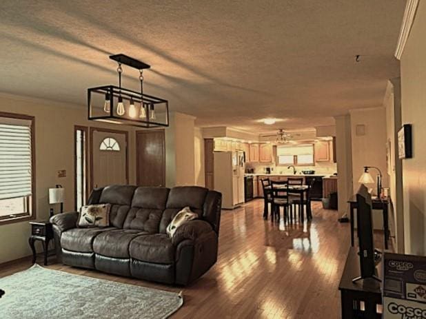 living room featuring crown molding, hardwood / wood-style flooring, and a textured ceiling