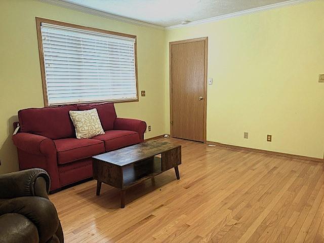 living room featuring ornamental molding and light hardwood / wood-style floors