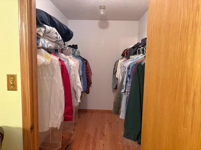 walk in closet with light hardwood / wood-style flooring