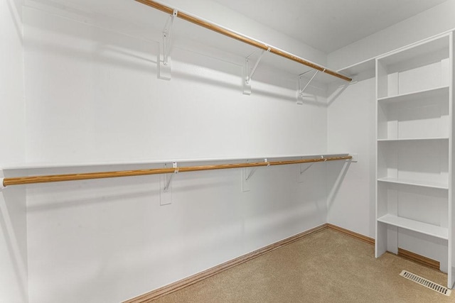 walk in closet featuring visible vents and carpet flooring