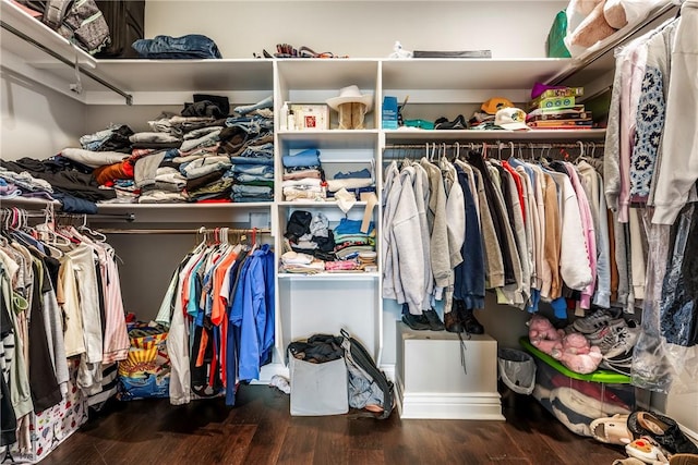 walk in closet with wood-type flooring