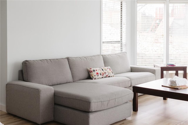 living room featuring wood-type flooring