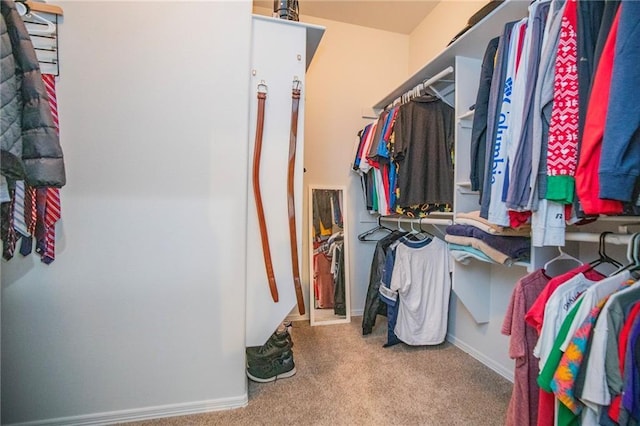 walk in closet with carpet flooring