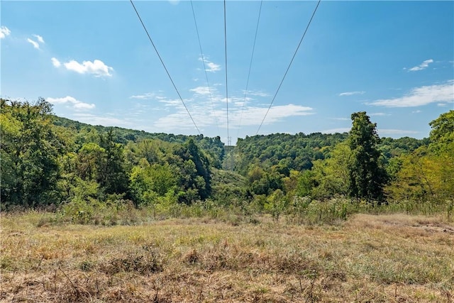 view of local wilderness