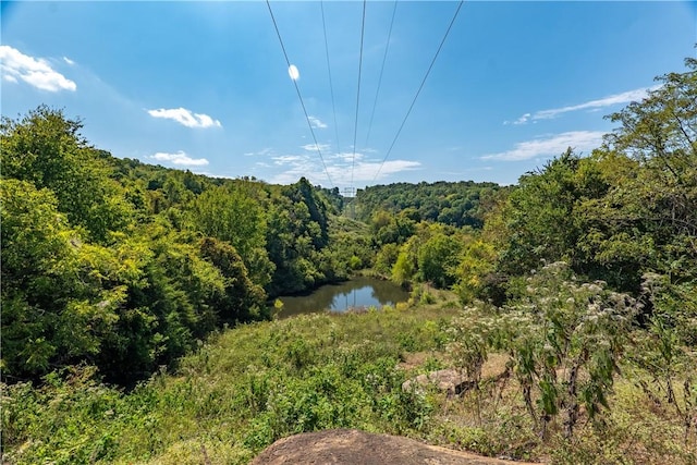 view of landscape featuring a water view