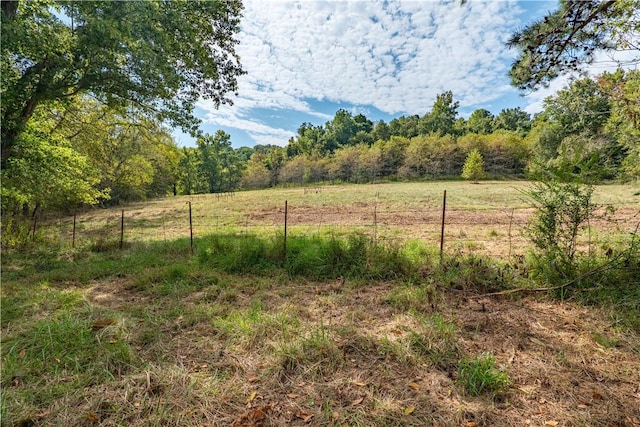 view of yard with a rural view