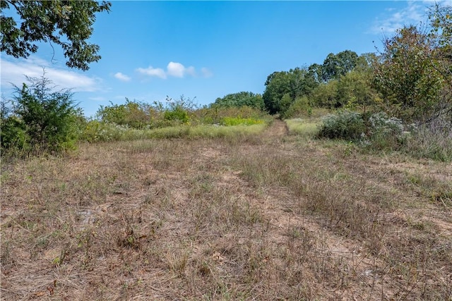 view of local wilderness