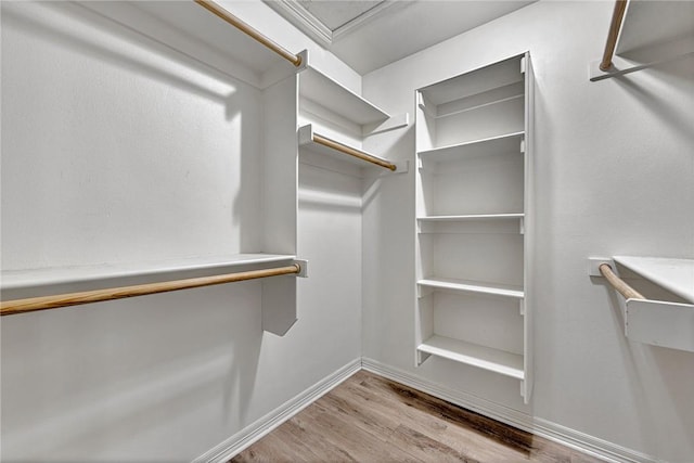 walk in closet with light hardwood / wood-style flooring