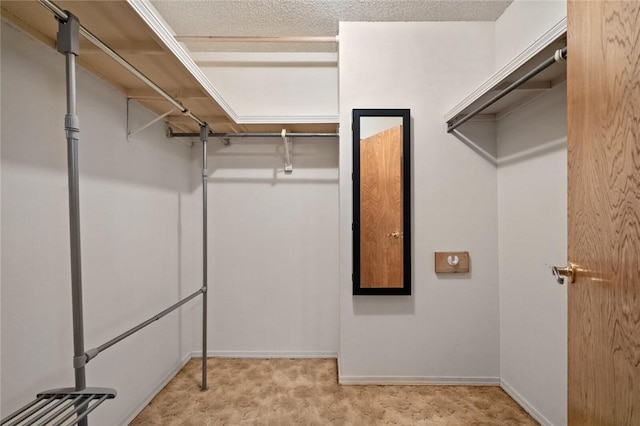 view of spacious closet