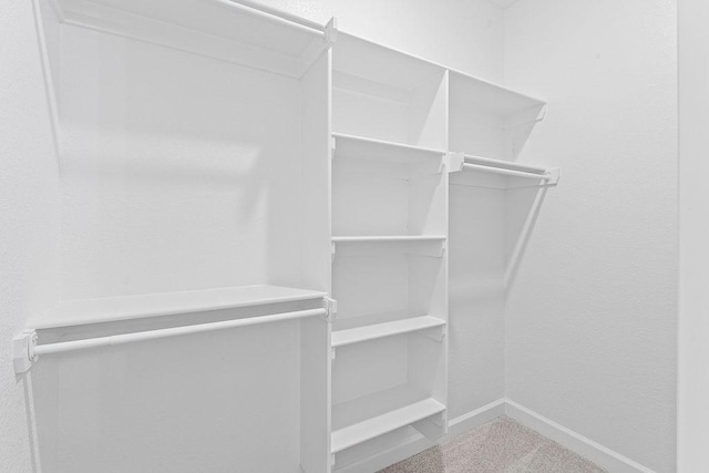 1815 Bugg St, Pea Ridge, AR 72751 - view of spacious closet
