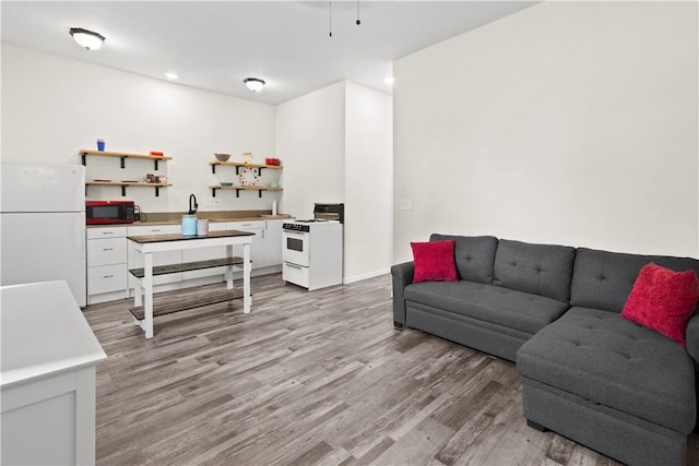 living room with light hardwood / wood-style floors