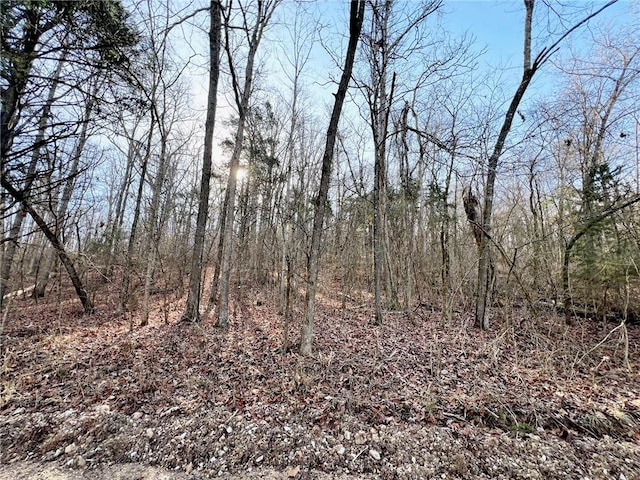 Listing photo 2 for 019-02659-000 Downes Rd, Lead Hill AR 72644