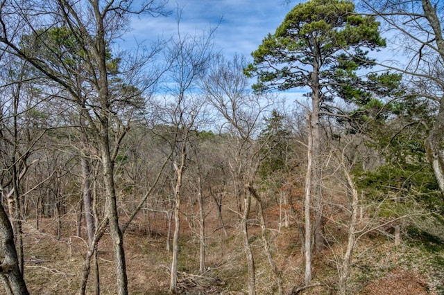 view of local wilderness