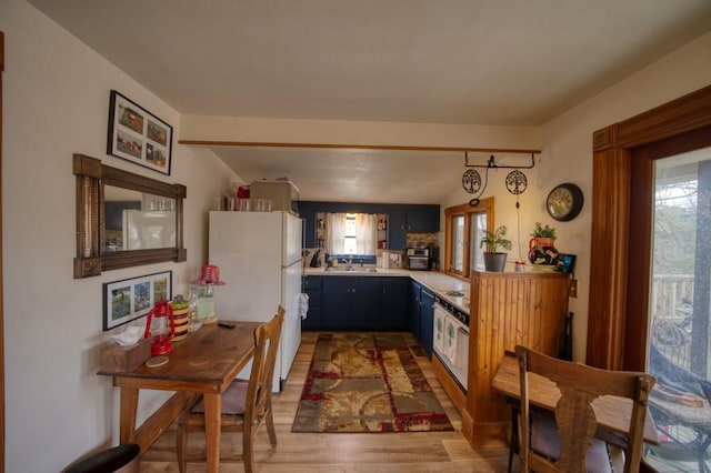 kitchen with sink, light hardwood / wood-style floors, and white fridge