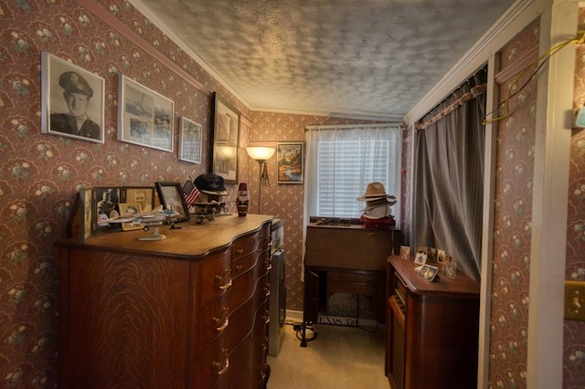 interior space featuring crown molding, light carpet, and a textured ceiling