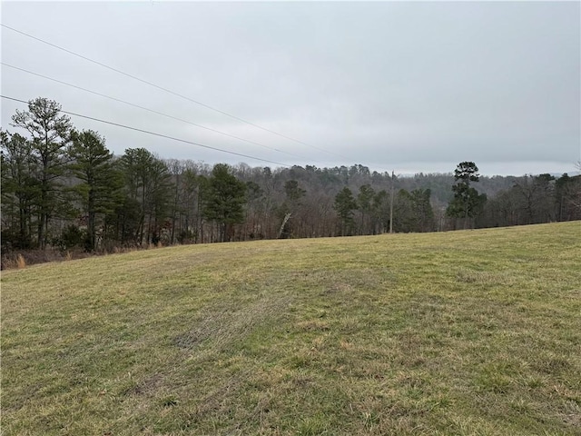 Listing photo 3 for TRACTA-1 Nicewarner Rd, Lincoln AR 72744