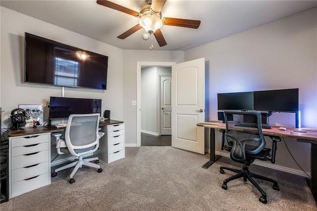 office area featuring ceiling fan and carpet floors